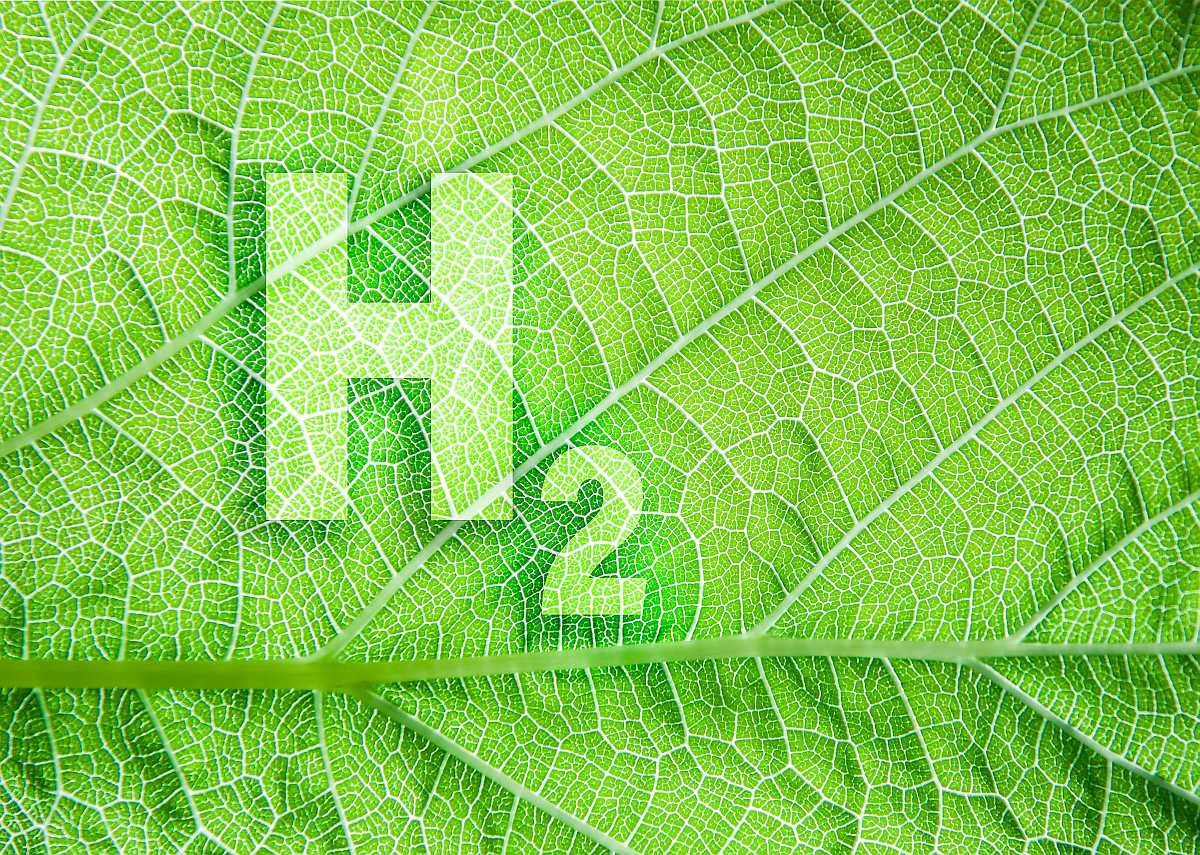 Förderaufruf für Grünen Wasserstoff und Grüne Chemie